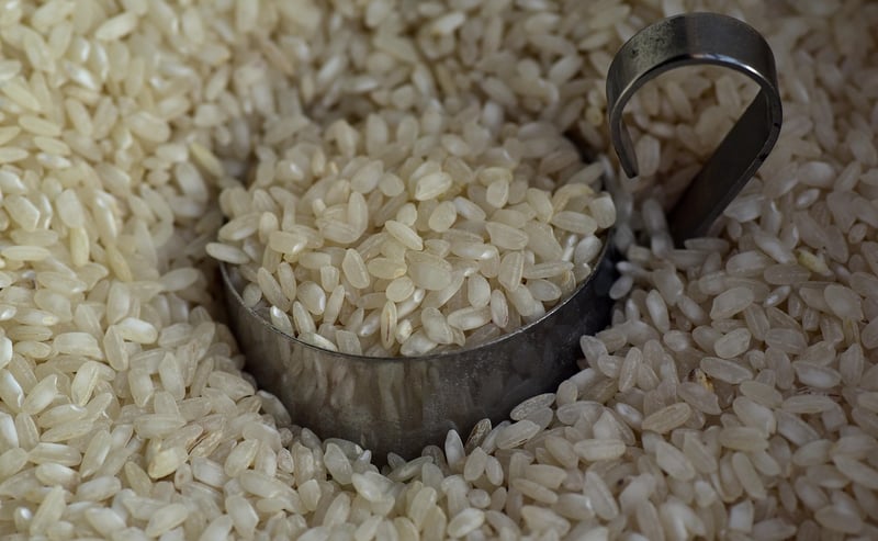 Whole Grains